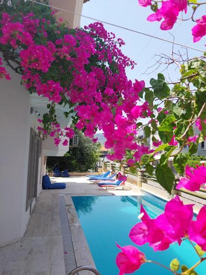 Selenya Apart Marmaris Exterior foto